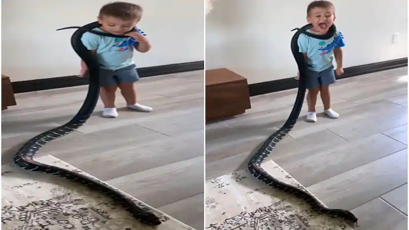 Python Snake In Neck Of Child Dangerous Video Shocking Viral Video Trending