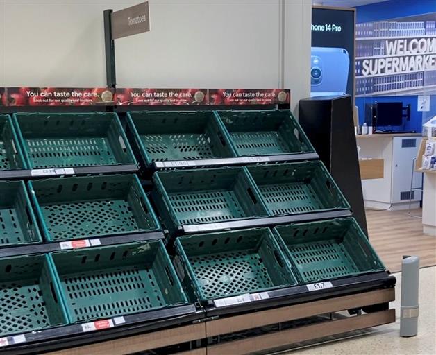 UK supermarkets impose purchase limit on fruit & veg amid shortage